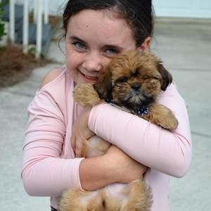 Meet your Posher, Brittany